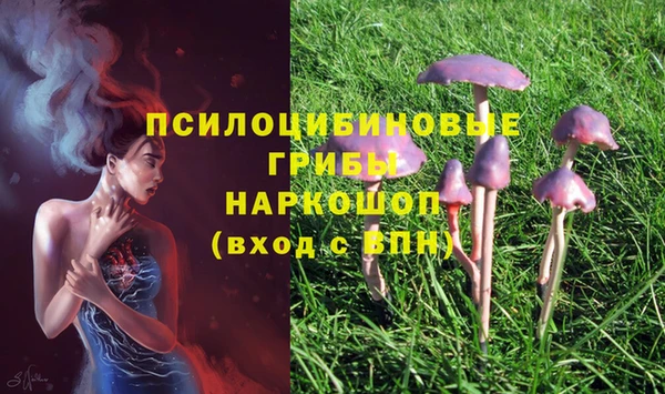 спиды Куйбышев