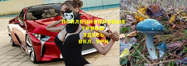 кокс Лабытнанги