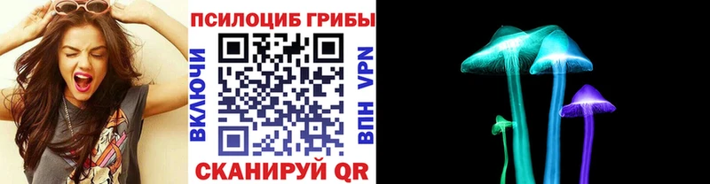 где найти наркотики маркетплейс клад Псилоцибиновые грибы Psilocybine cubensis Усть-Катав мега маркетплейс